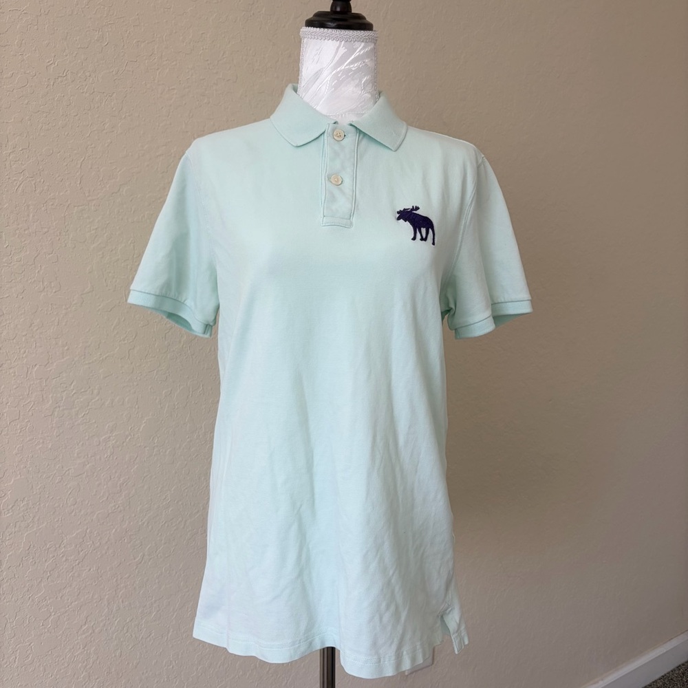 Light Green Abercrombie &‎ Fitch Polo Shirt Men’s Medium Moose Logo